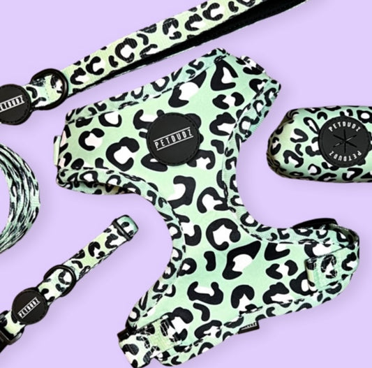 Mint Leopard Full Set Dog Harness Lead Collar and Poop Bag Holder