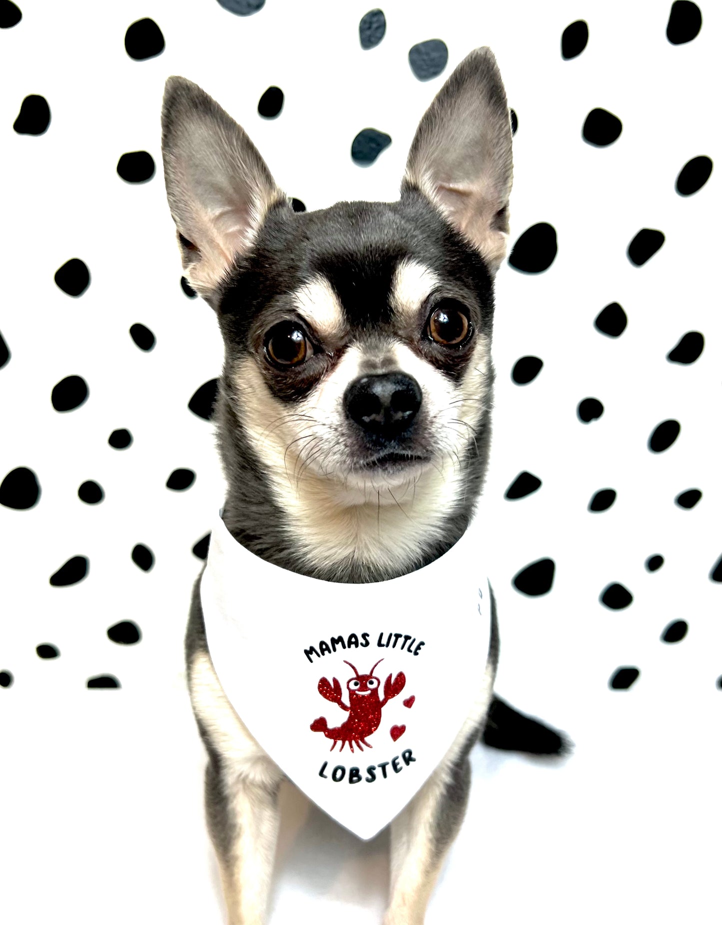 Mamas Little Lobster Dog Bandana