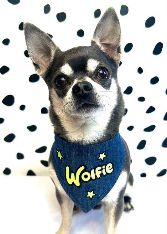 Denim Personalised Dog Bandana Snap on or Over Collar