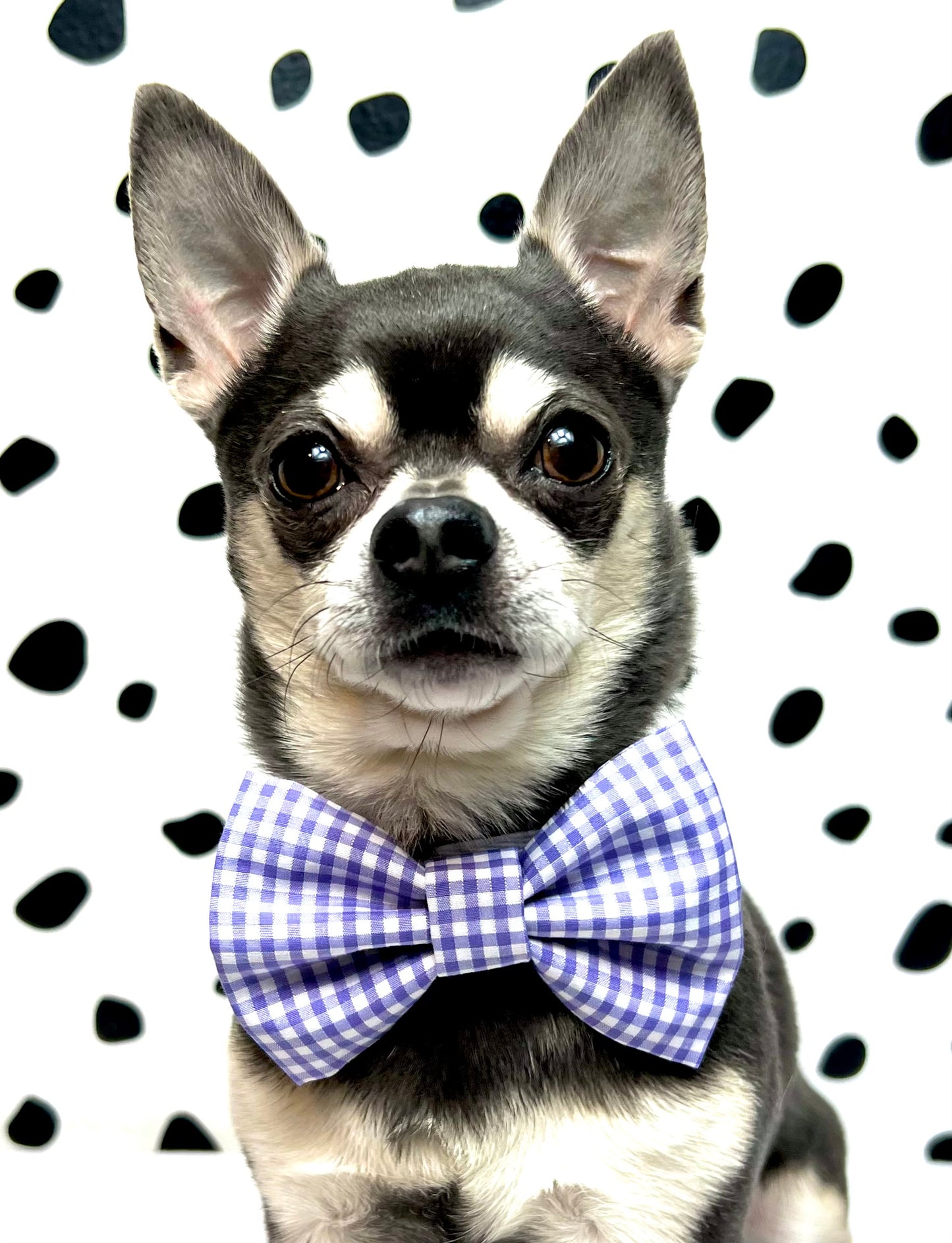 Purple Gingham Dog or Cat Bow Tie