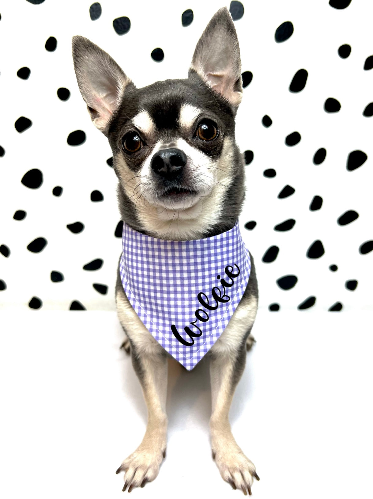 Purple Gingham Personalised Dog or Cat Bandana Snap on or Over Collar