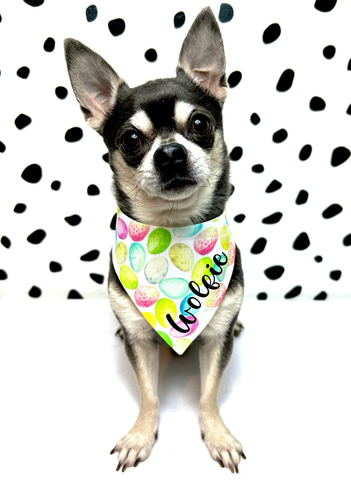 Speckled Egg Personalised Dog or Cat Bandana Snap on or Over Collar