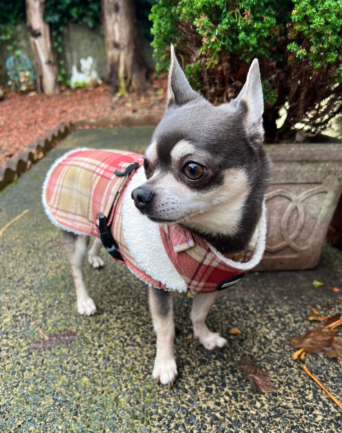 Cranberry Tartan Sherpa Adjustable Dog Jacket Coat