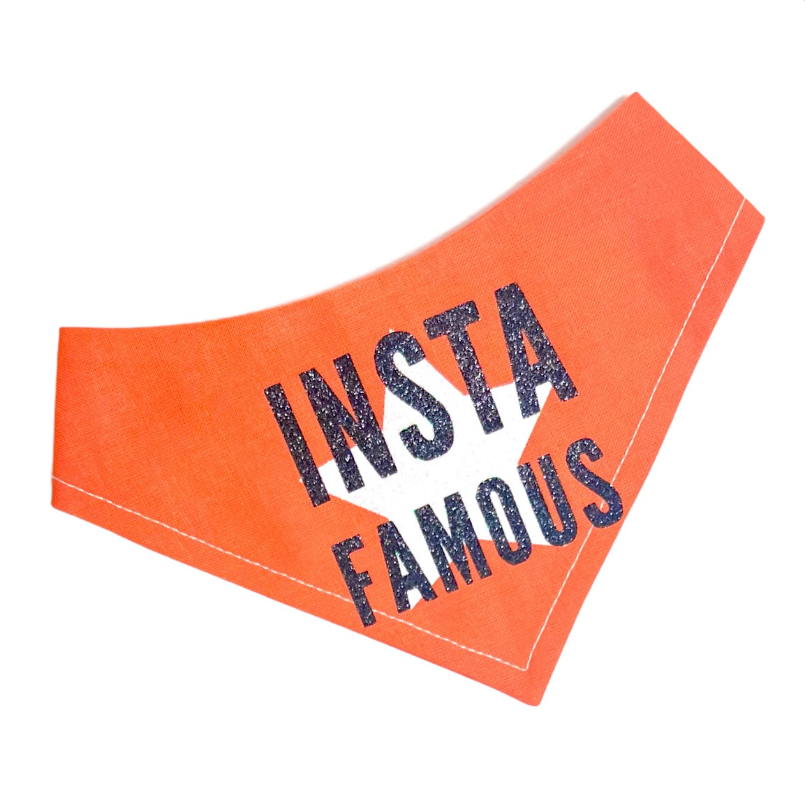 Insta Famous Orange Personalised Reversible Dog Bandana Snap on Style