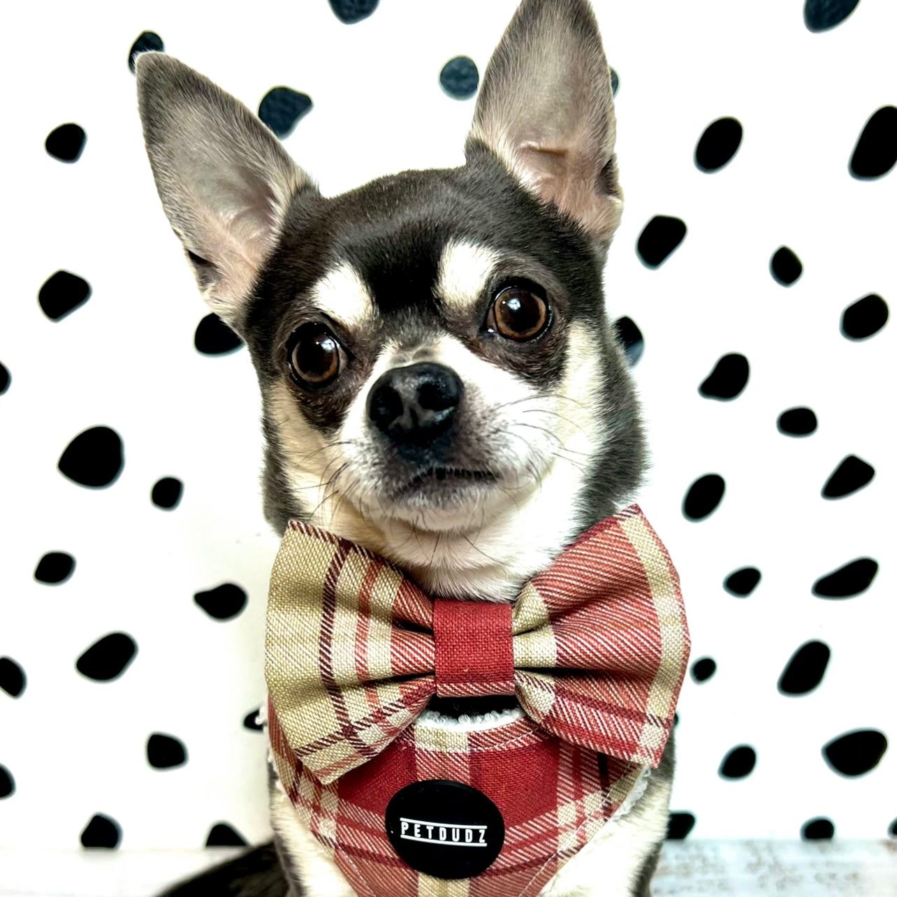 Cranberry Tartan Dog or Cat Bow Tie