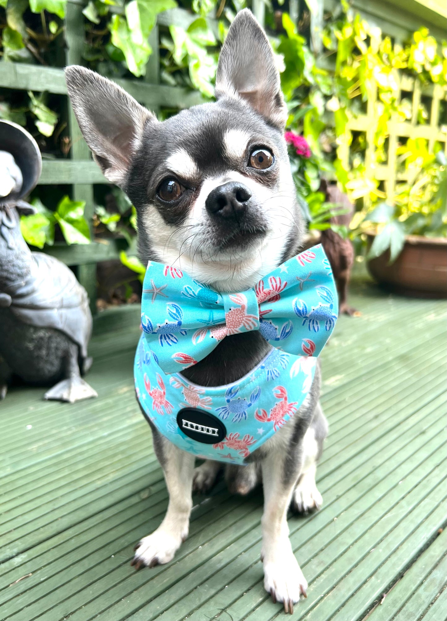 New Crabulous Summer Dog Bow Tie Cat Bow Tie