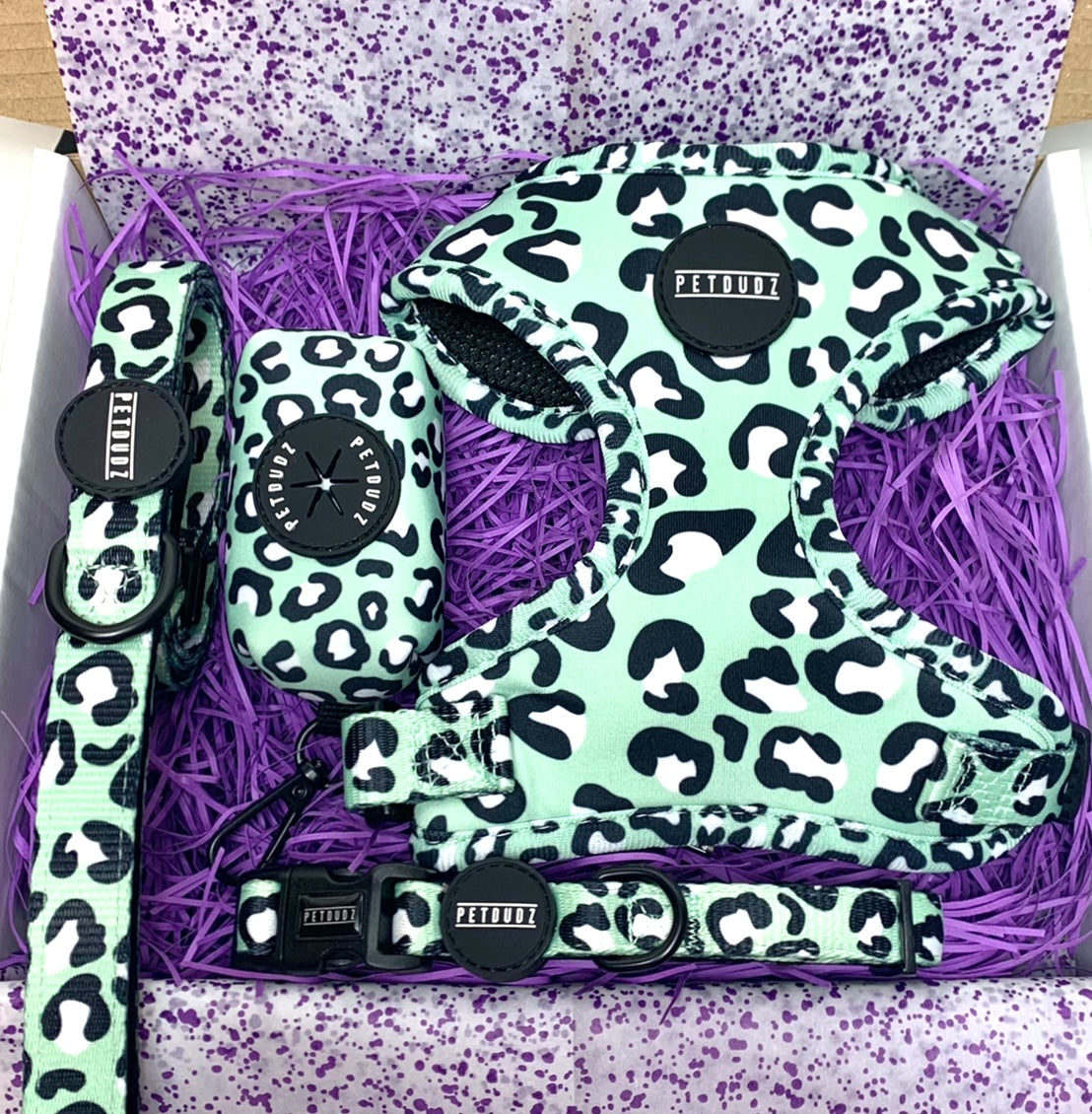 Mint Leopard Full Set Dog Harness Lead Collar and Poop Bag Holder