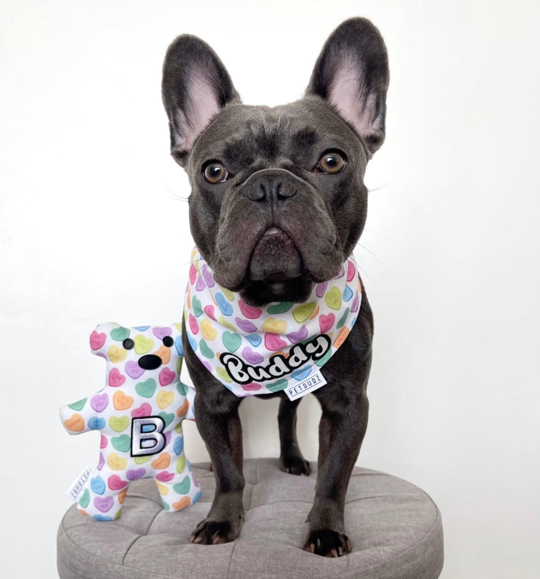 Personalised Love Heart Dog Bandana