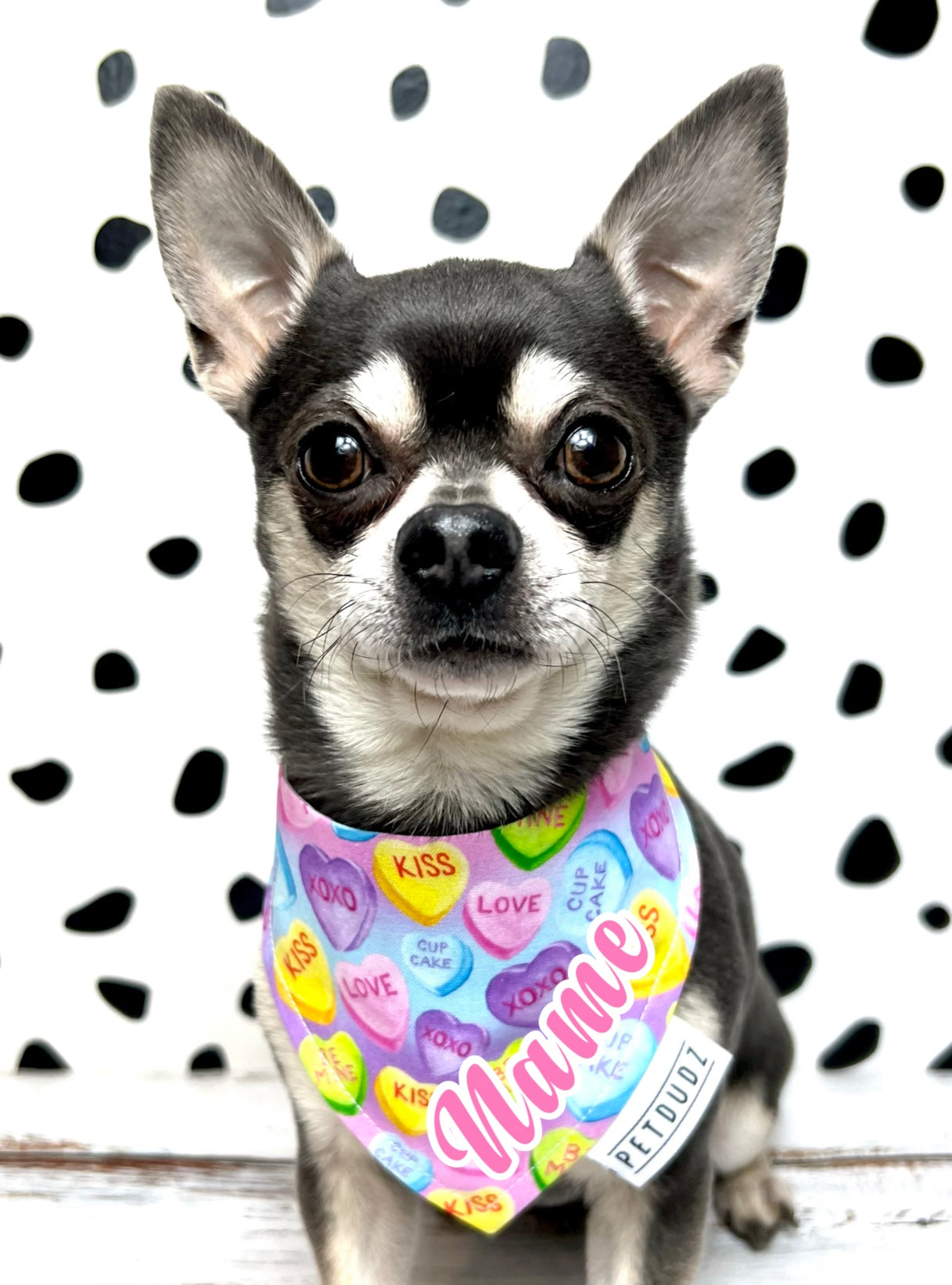 Love Hearts Personalised Retro Dog Bandana