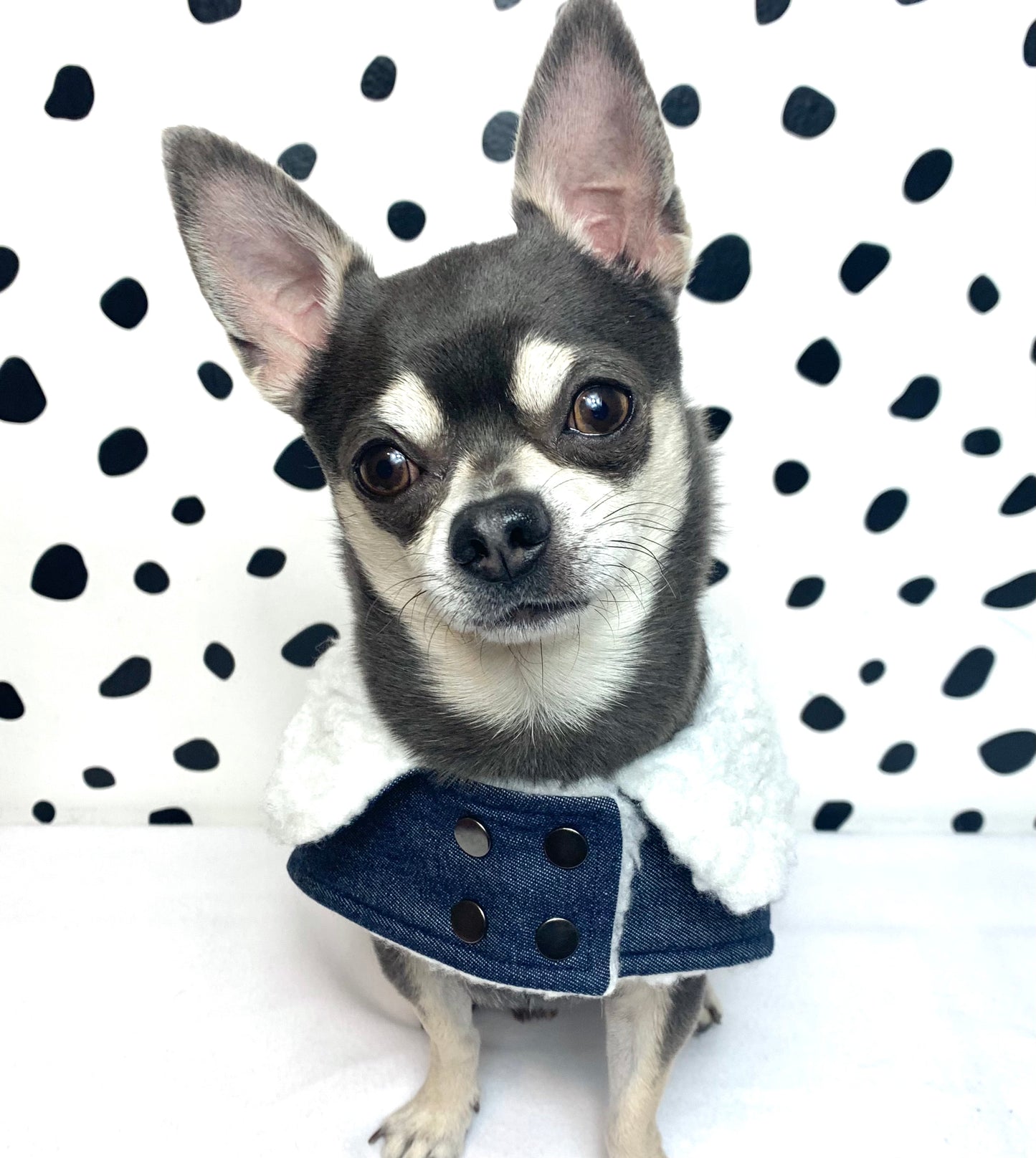 Petdudz Patch Sherpa Denim Dog Jacket Vest Coat