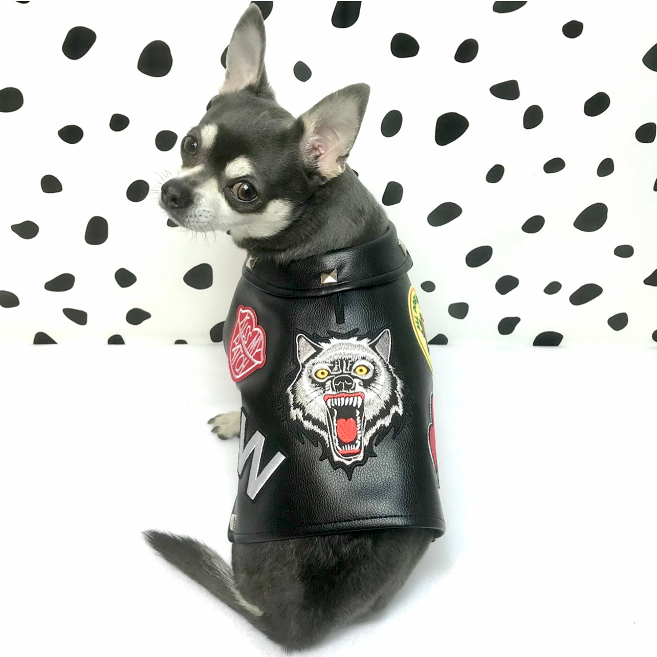 Petdudz Black Custom Patch Faux Leather Dog Jacket Vest