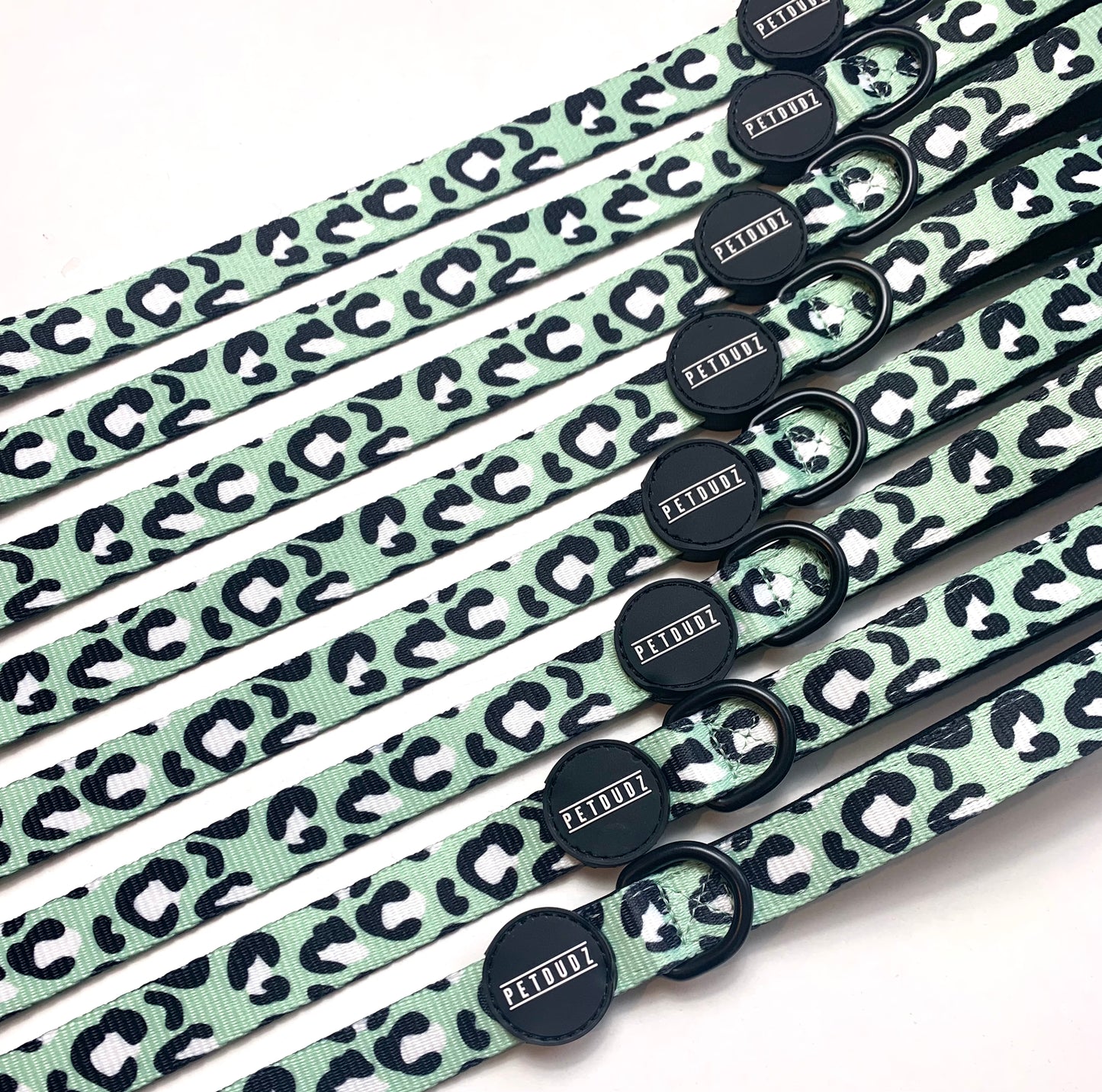 Mint Leopard Dog Lead One Size