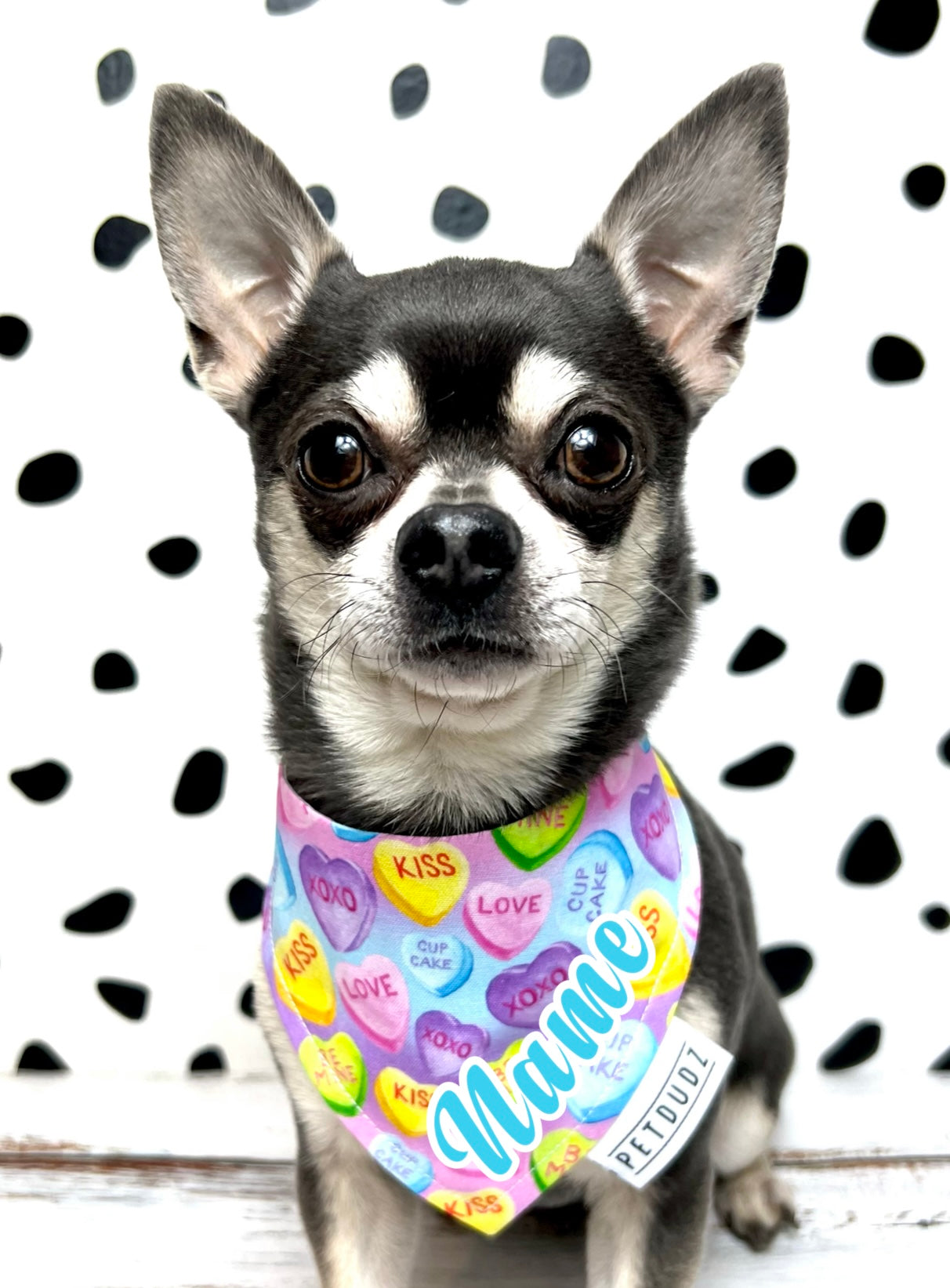 Love Hearts Personalised Retro Dog Bandana